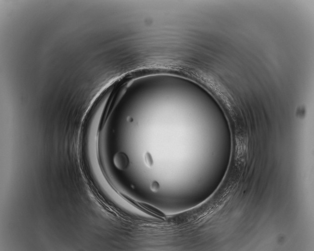 X0000099310580200805091020