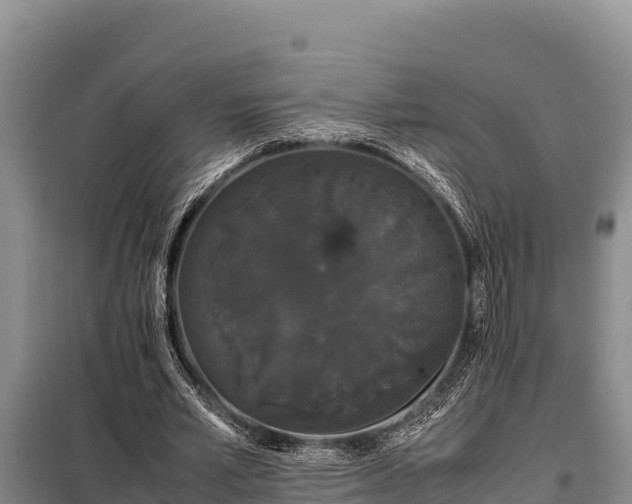 X0000099310581200805091019