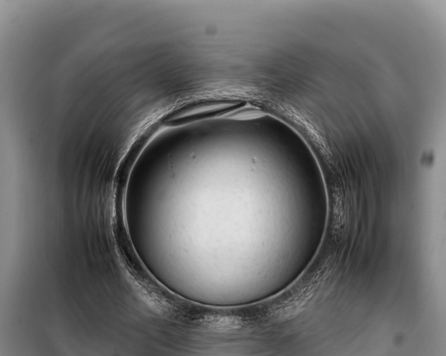 X0000099310582200805091019