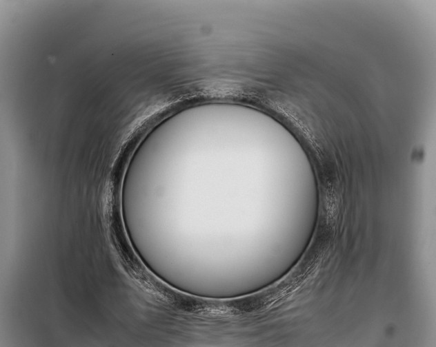 X0000099310583200805091019