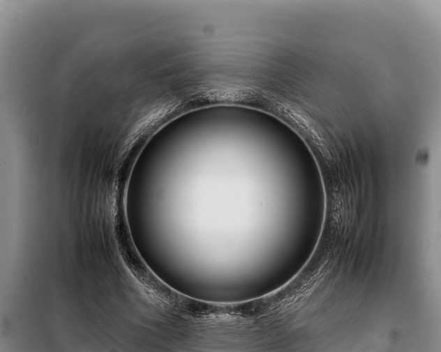 X0000099310586200805091019