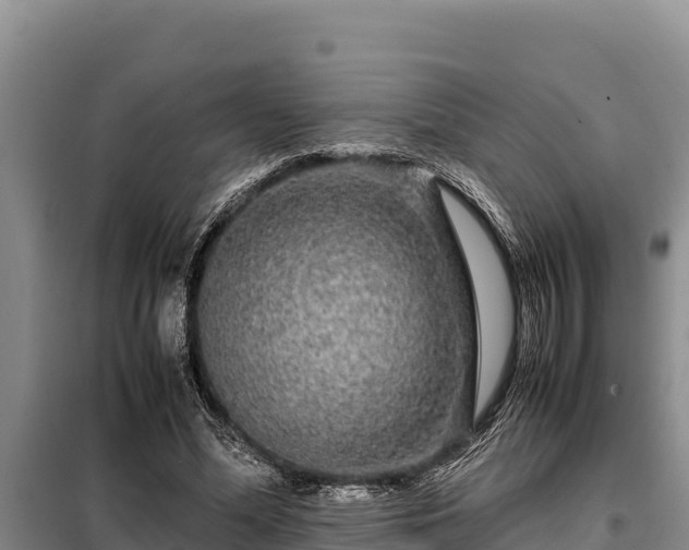 X0000099310588200805091019