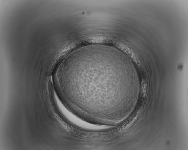 X0000099310589200805091019