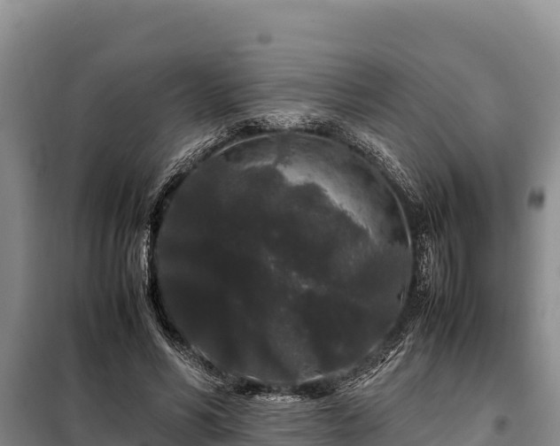 X0000099310590200805091019