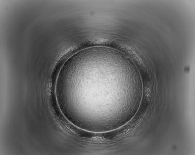 X0000099310591200805091019