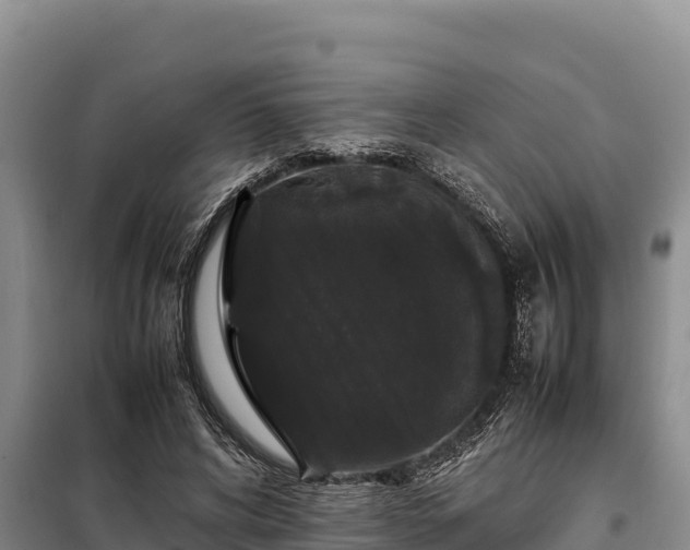 X0000099310592200805091019