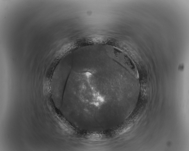 X0000099310593200805091019