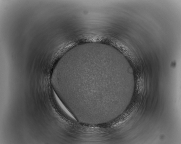 X0000099310594200805091019