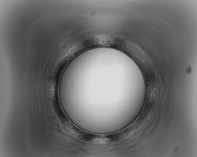 X0000099310595200805091019