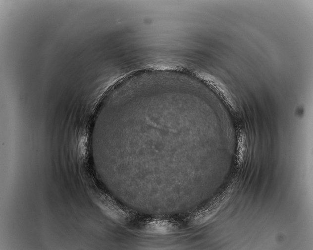 X0000099310596200805091019