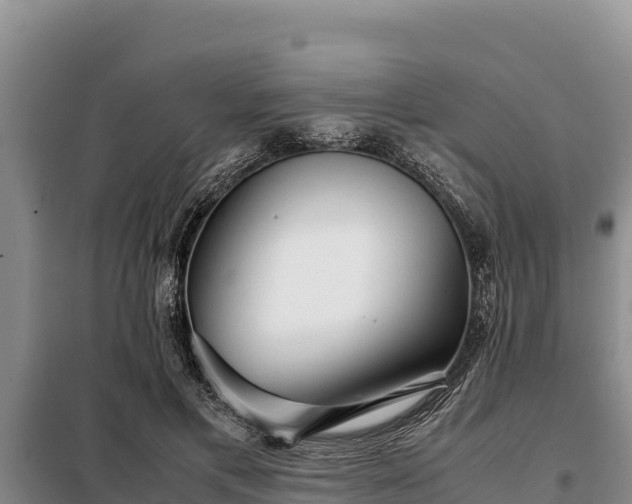 X0000099310597200805091019