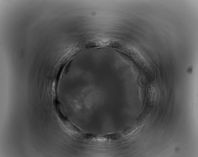 X0000099310598200805091019