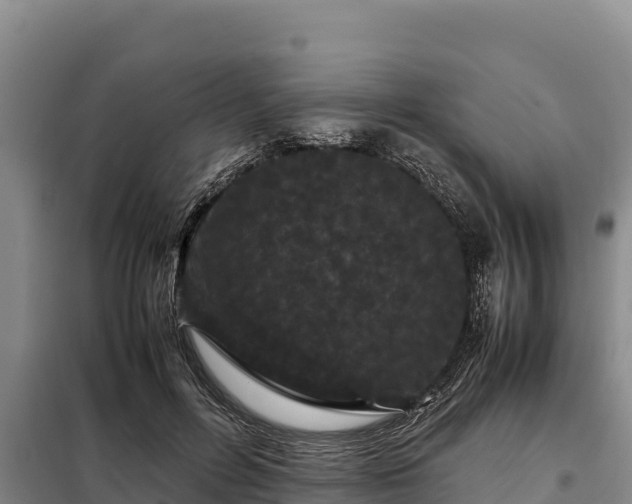 X0000099310600200805091019