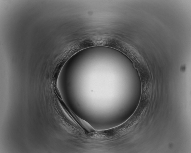 X0000099310601200805091019