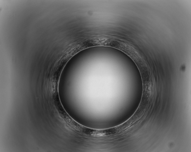 X0000099310602200805091019