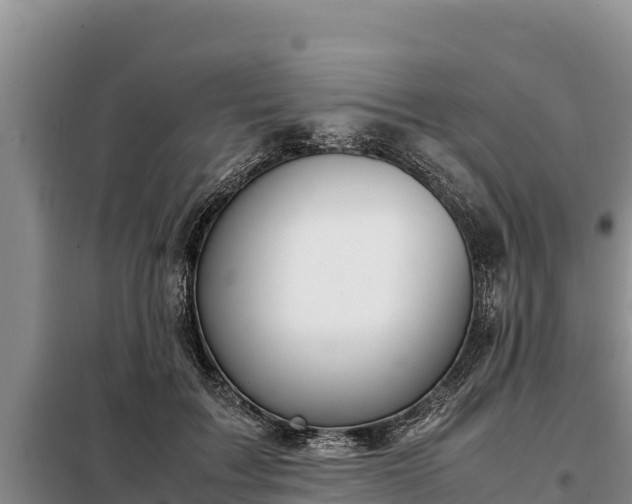 X0000099310603200805091019