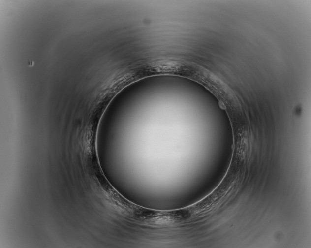 X0000099310604200805091019