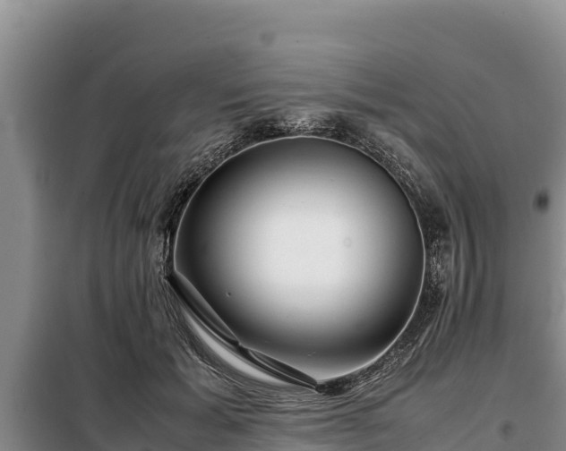 X0000099310605200805091019