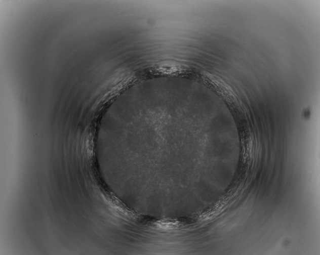 X0000099310606200805091019