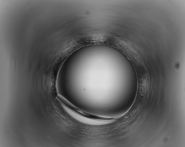 X0000099310608200805091019