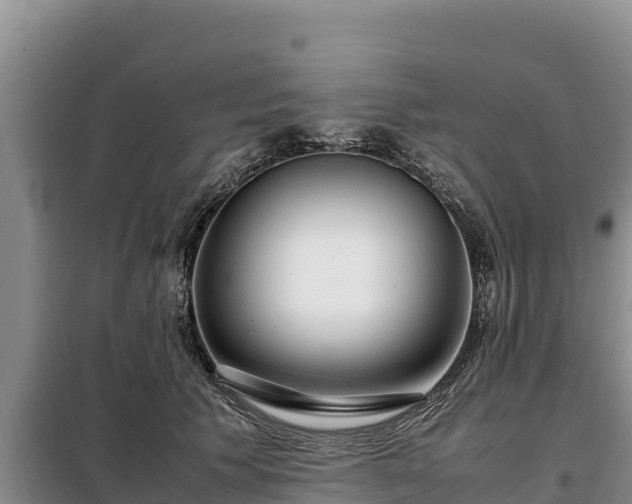 X0000099310609200805091019