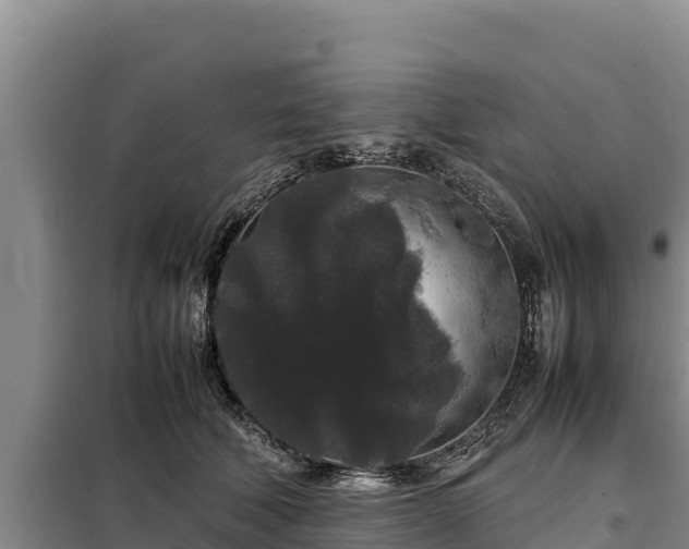 X0000099310610200805091019