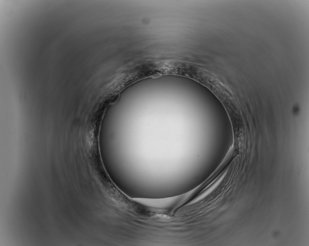 X0000099310611200805091019