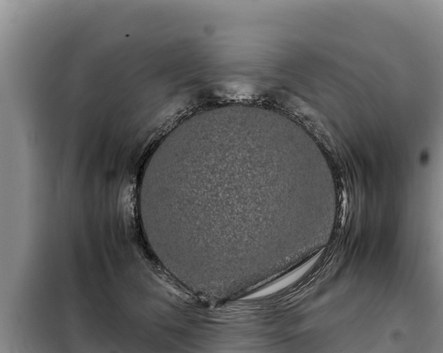 X0000099310612200805091019