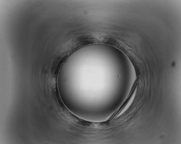 X0000099310613200805091019