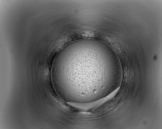 X0000099310614200805091019