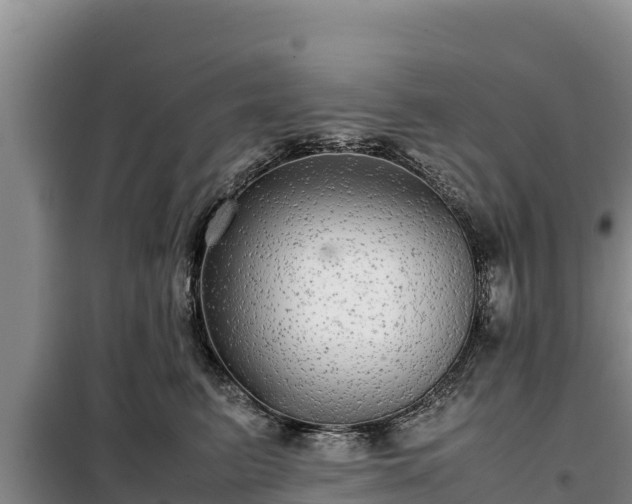 X0000099310615200805091019