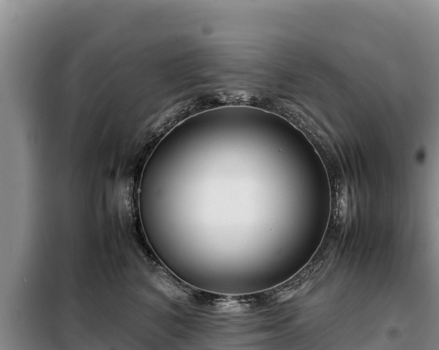 X0000099310616200805091019