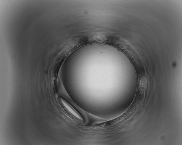 X0000099310617200805091019