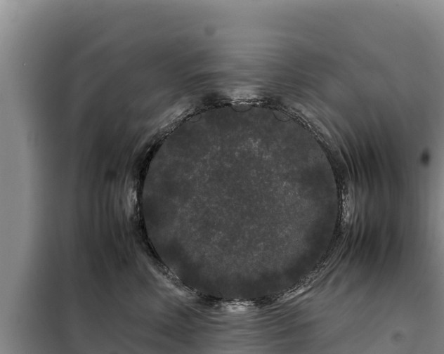 X0000099310618200805091019