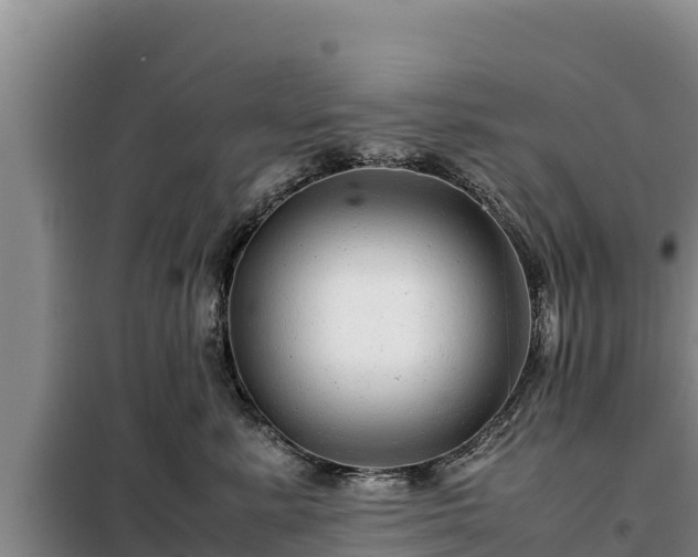 X0000099310619200805091019