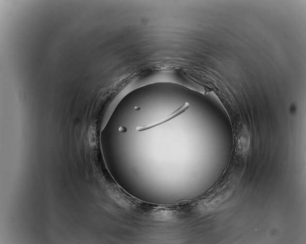 X0000099310620200805091019