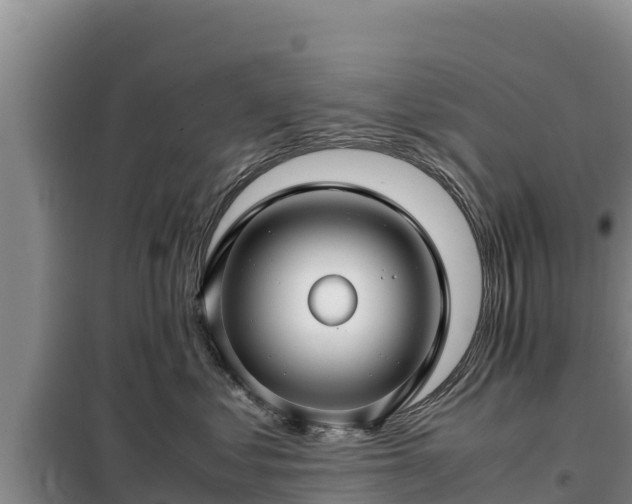 X0000099310621200805091019