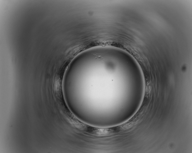 X0000099310623200805091019