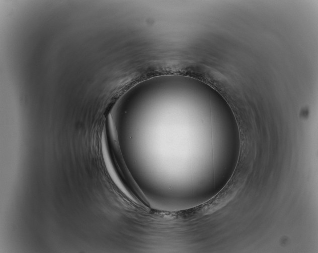 X0000099310624200805091019