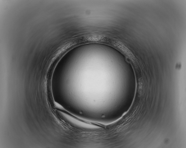 X0000099310626200805091018