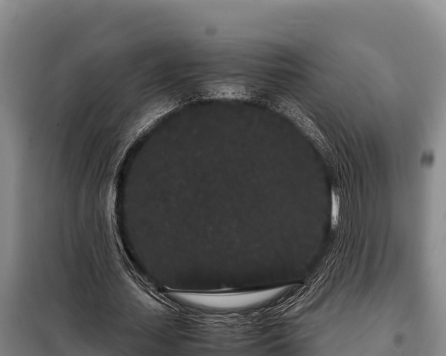 X0000099310627200805091018