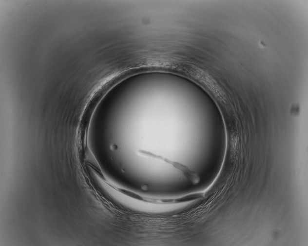 X0000099310628200805091018