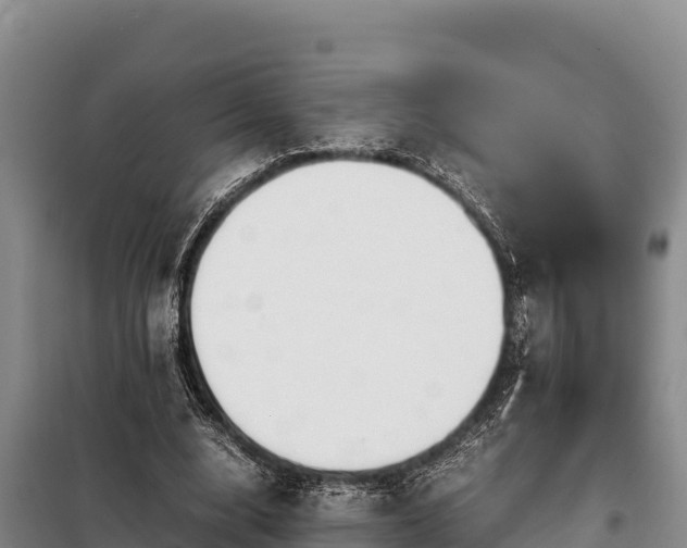 X0000099310632200805091018