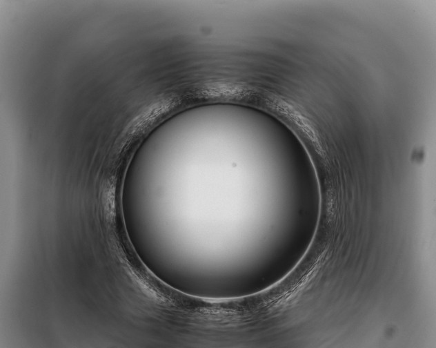 X0000099310633200805091018