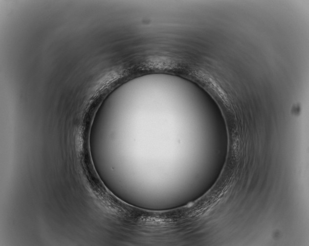 X0000099310635200805091018