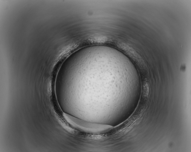 X0000099310638200805091018