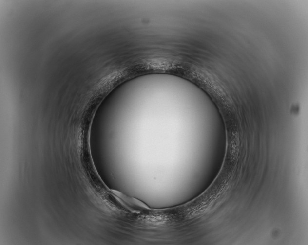 X0000099310639200805091018