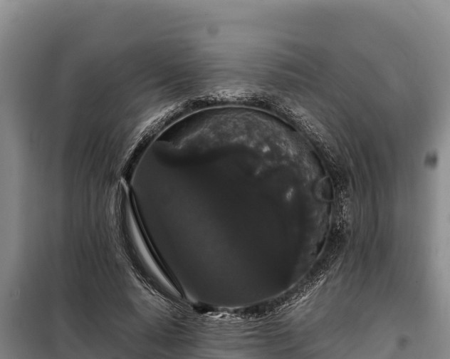 X0000099310640200805091018