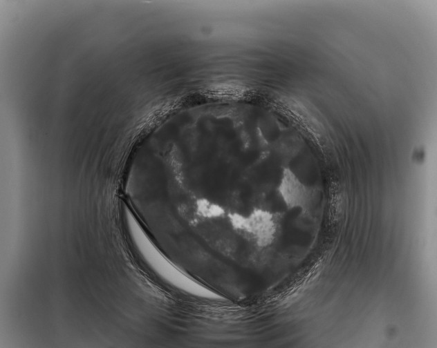 X0000099310641200805091018