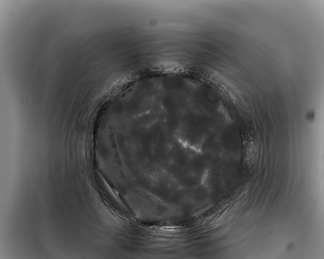 X0000099310643200805091018